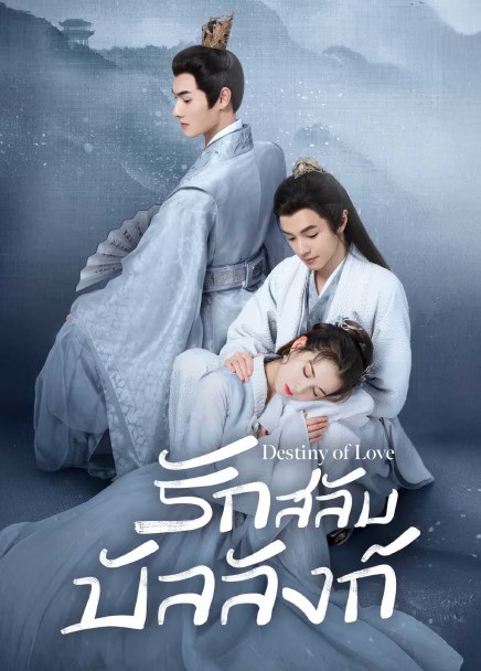 Destiny of Love (2025) รักสลับบัลลังก์ ซับไทย