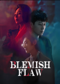 Blemish Flaw (2025) ซับไทย